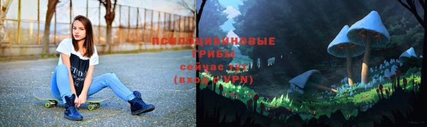 дурь Костерёво