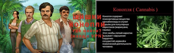 дурь Коряжма