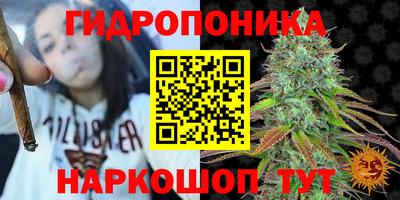 гидропоника Мариинск