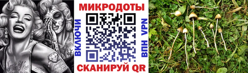 Галлюциногенные грибы Magic Shrooms  Псков 