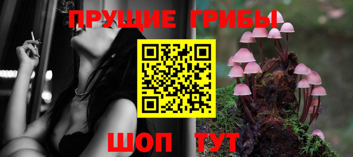 Галлюциногенные грибы Magic Shrooms Псков